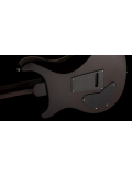 SE DGT (McCarty Tobacco Sunburst), зображення 7